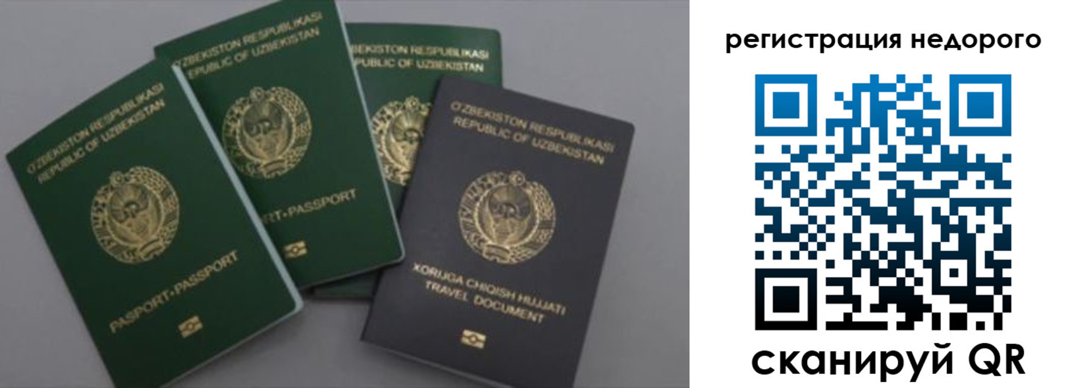 пропишу в квартире в Южно-Сухокумске